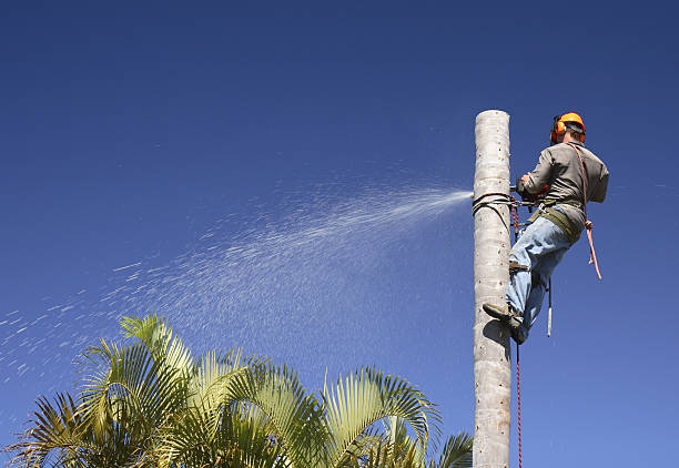 Best Weed Control  in Rocky Point, WA